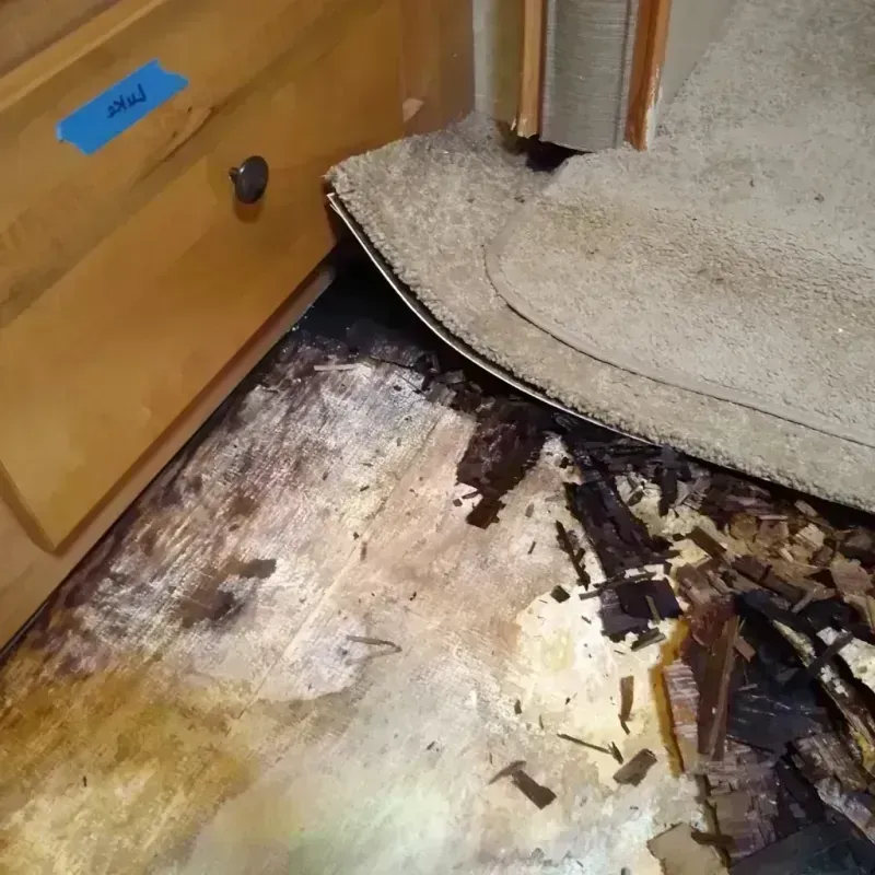 Best Wood Floor Water Damage Service in Lake Mack-Forest Hills, FL